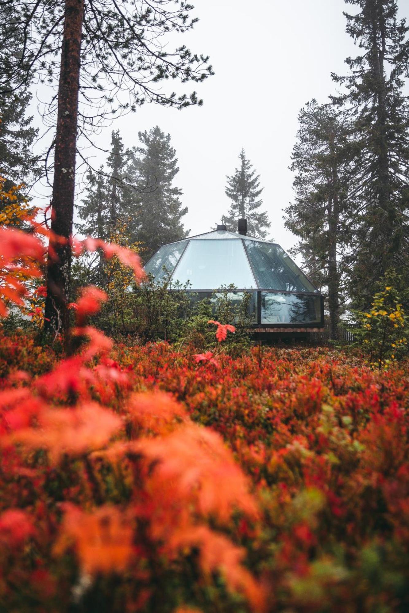 Appartement Syoete Igloos Extérieur photo